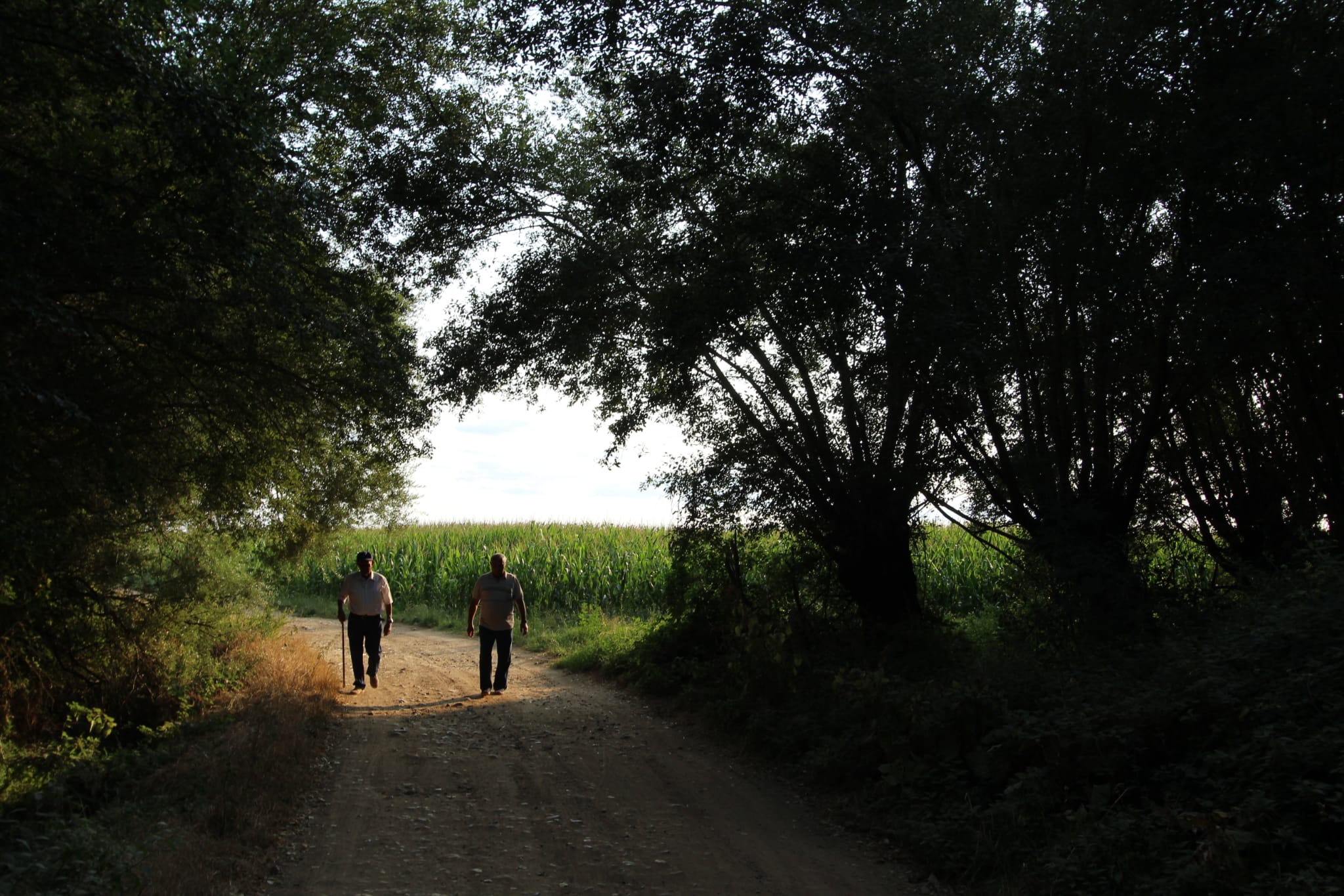 ‘Paseo vespertino’, la fotografía premiada en la edición de 2021. | DAVID Y RAQUEL GONZÁLEZ FRANCO