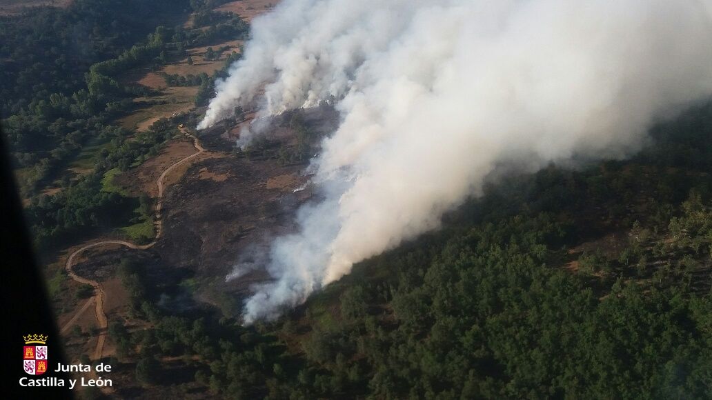 El incendio en San Bartolomé de Rueda se originó este miércoles. | JCYL