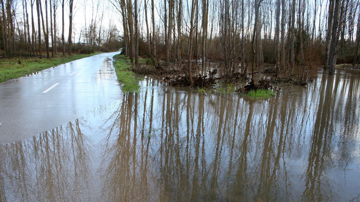 El río Sil ha vuelto a desbordarse en la carretera que conduce a Toral de Merayo. | C. SÁNCHEZ (ICAL)