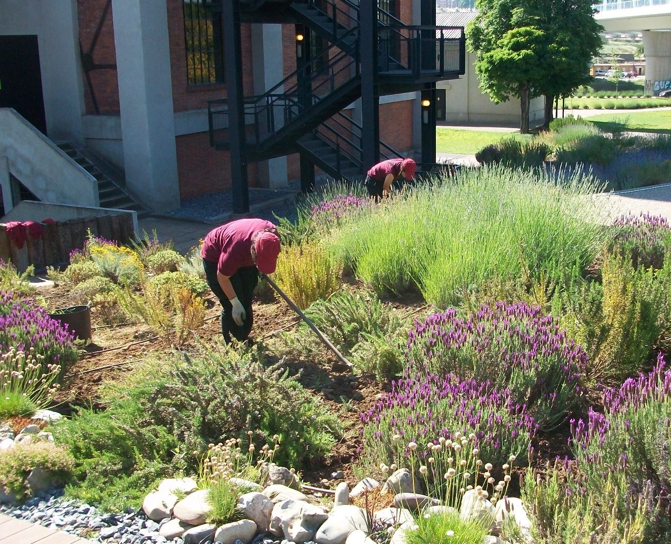 Ciuden vivero abre dos nuevas posibilidades formativas.