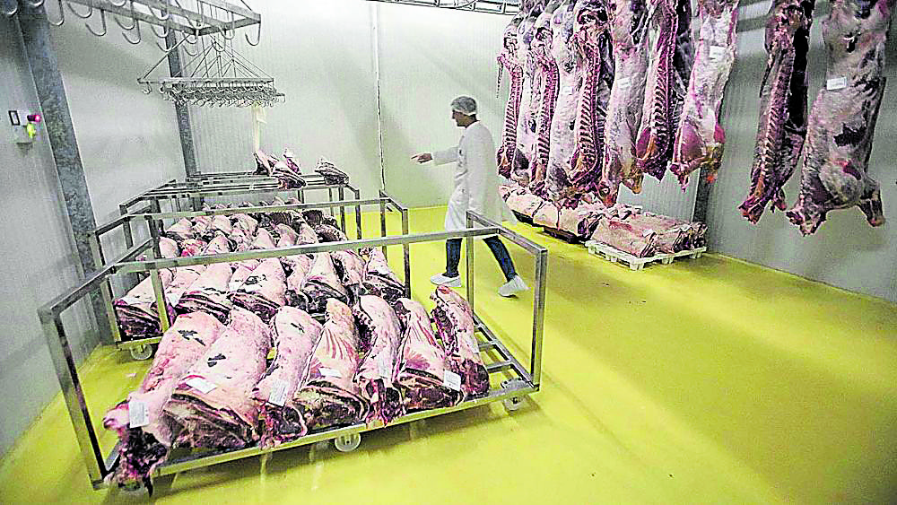 Los alimentos mantienen de manera clara el liderazgo de las exportaciones de las empresas de la provincia. | ICAL