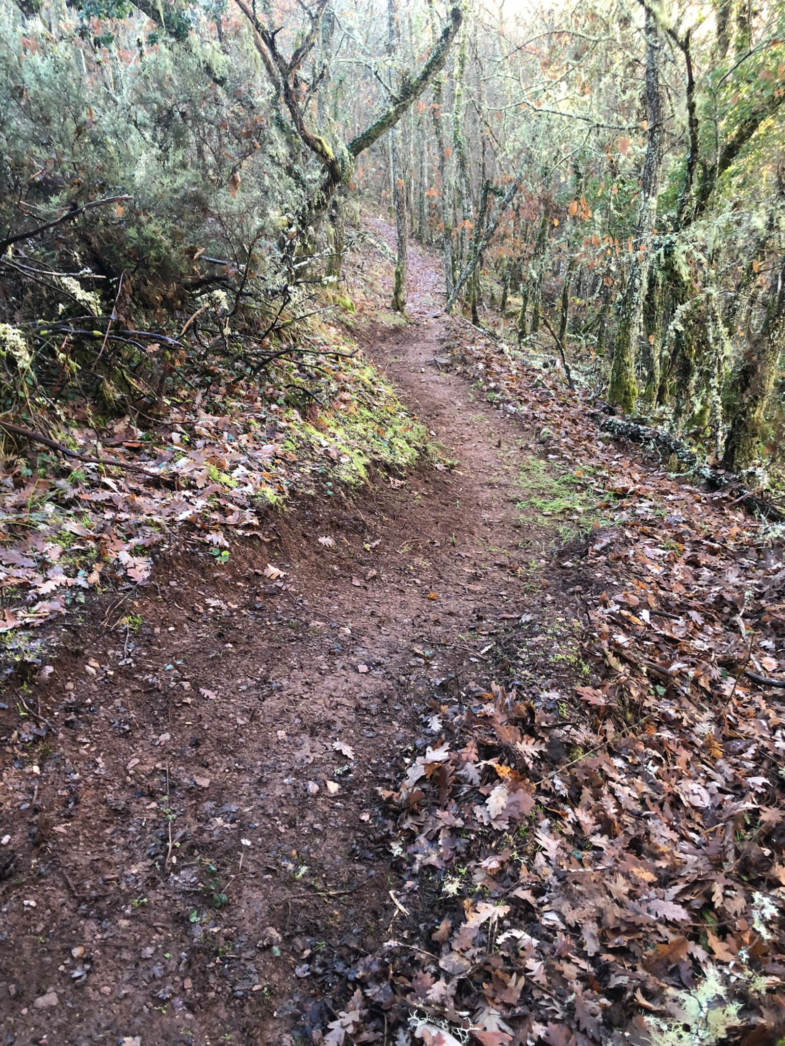 Parte de la ruta de los Cortines en Sancedo. 