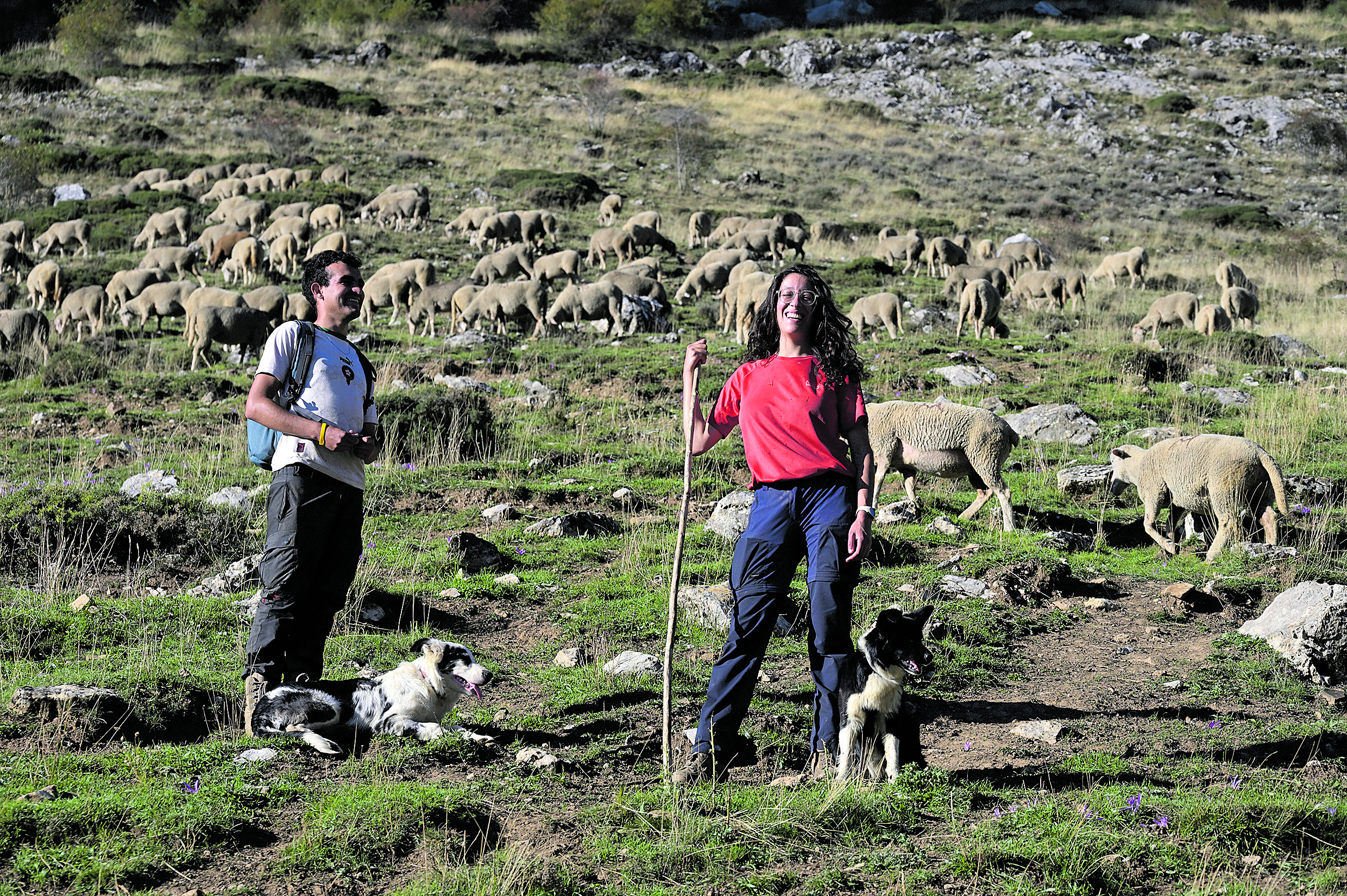 Mohamed y Carolina, con sus escuderos Linda y Rico, en la majada de Las Pintas cuidando de un rebaño de 650 ovejas. | MAURICIO PEÑA