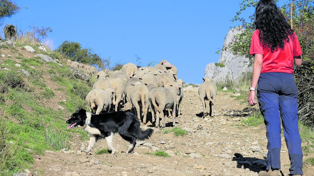 Imagen Mauricio 1532649