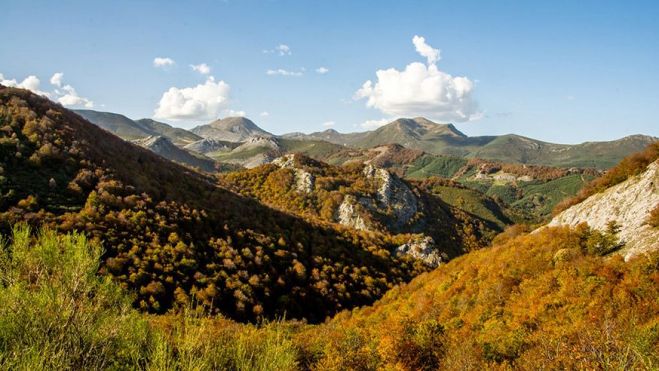 CERVATINA VICENTE