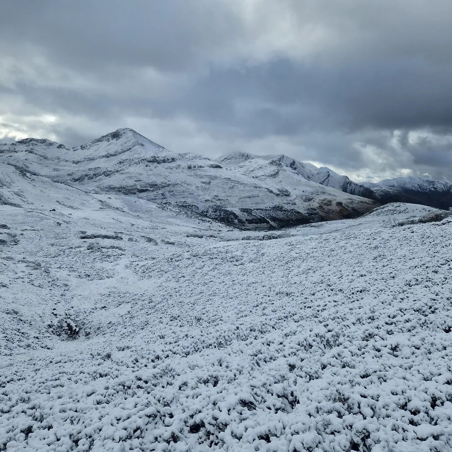 La primera nevada del otoño en León ha llegado a Babia, este sábado. | EMILIO MARTÍNEZ