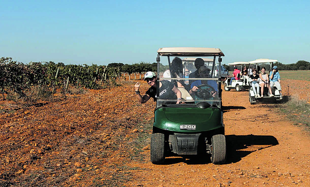 El paseo en buggy es uno de los atractivos de la finca. | VILE LA FINCA