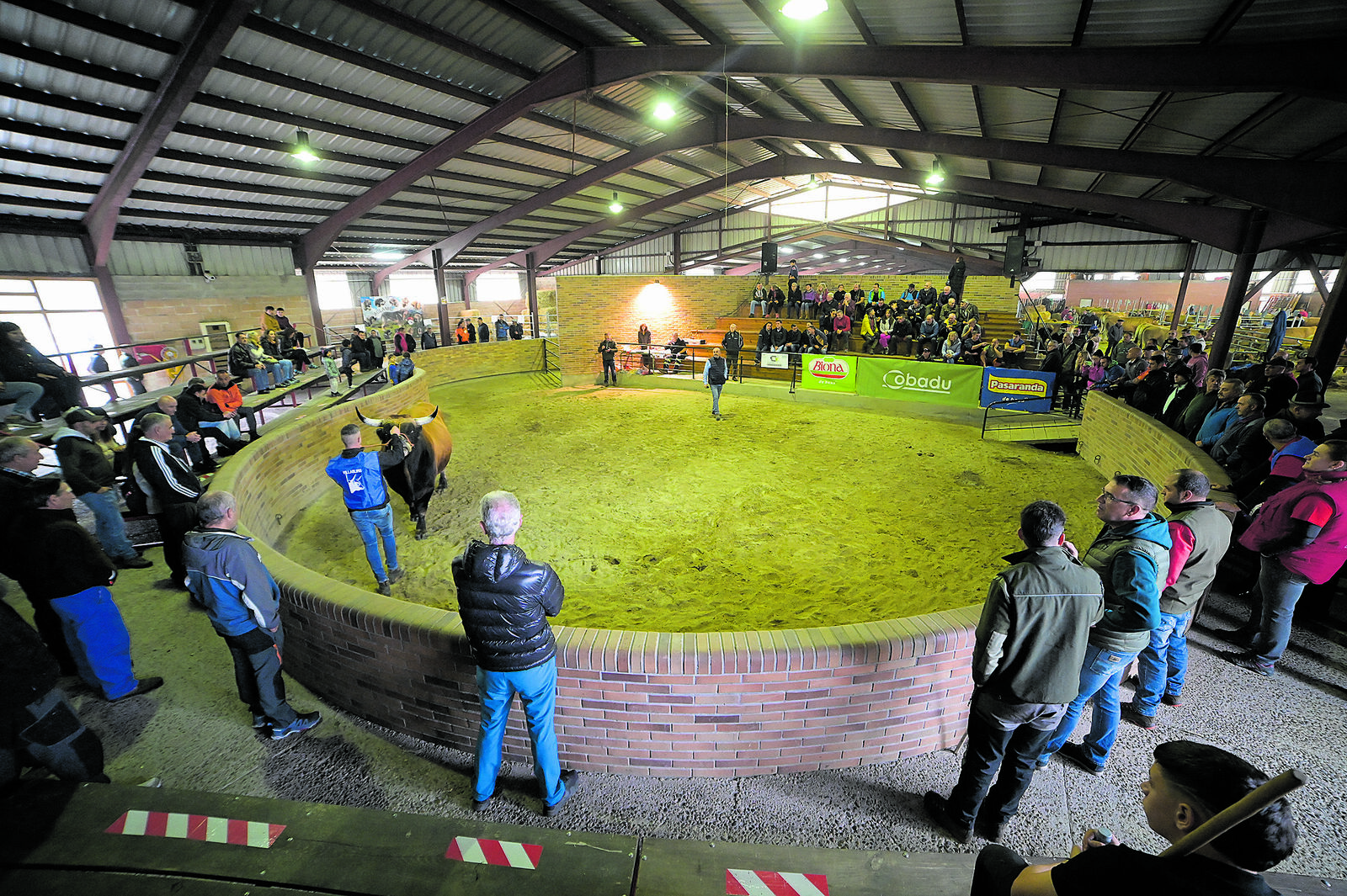 Villablino acogió todo el fin de semana el XXVII Certamen Provincial Asturiana de los Valles. | MAURICIO PEÑA