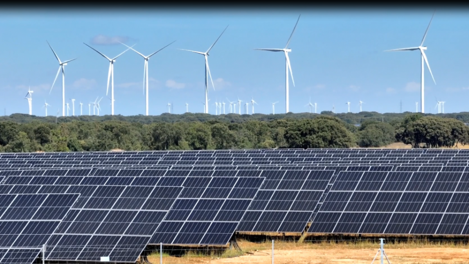 Imagen de archivo de un parque fotovoltaico. | L.N.C.