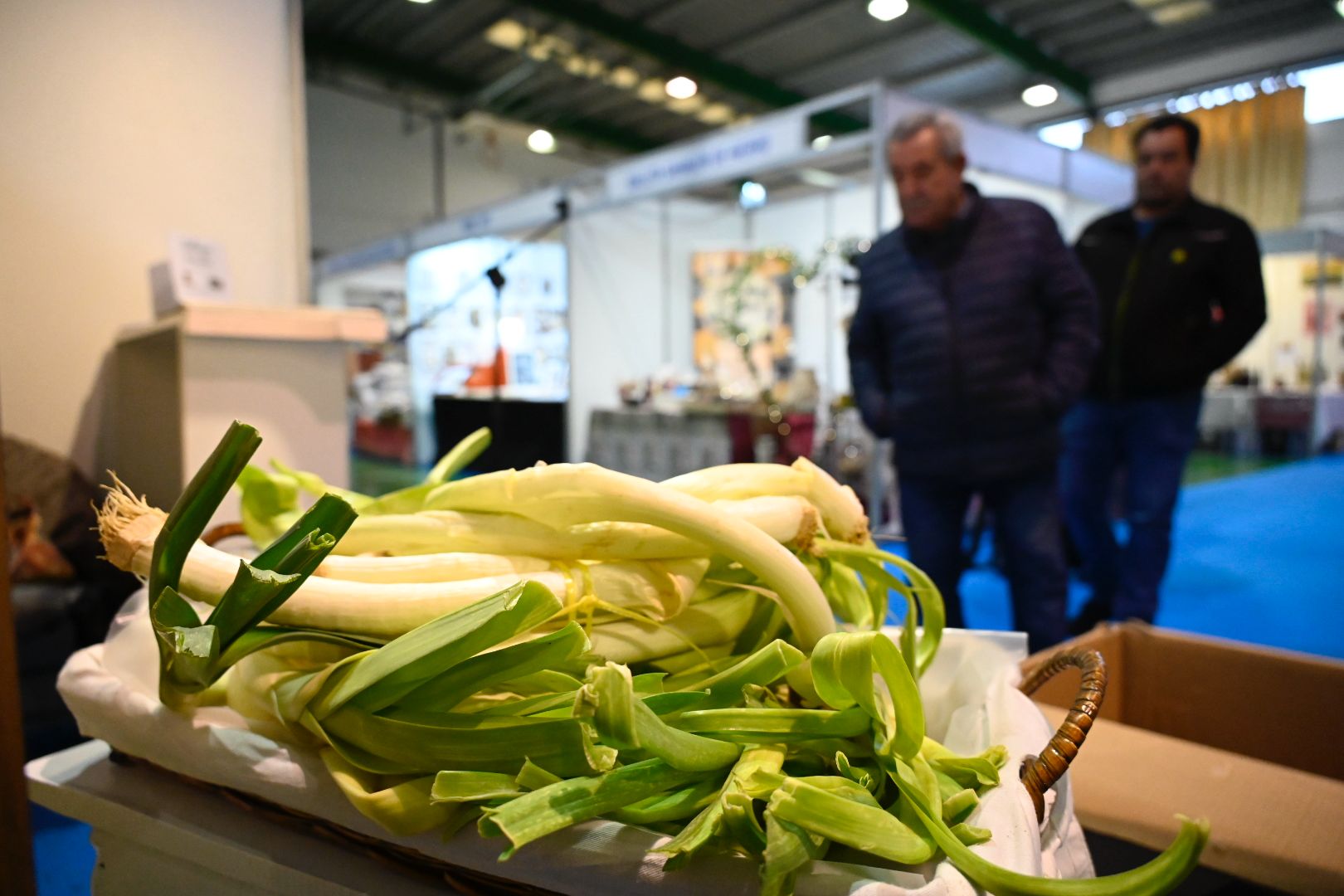El puerro es protagonista un año más en Sahagún. | SAÚL ARÉN