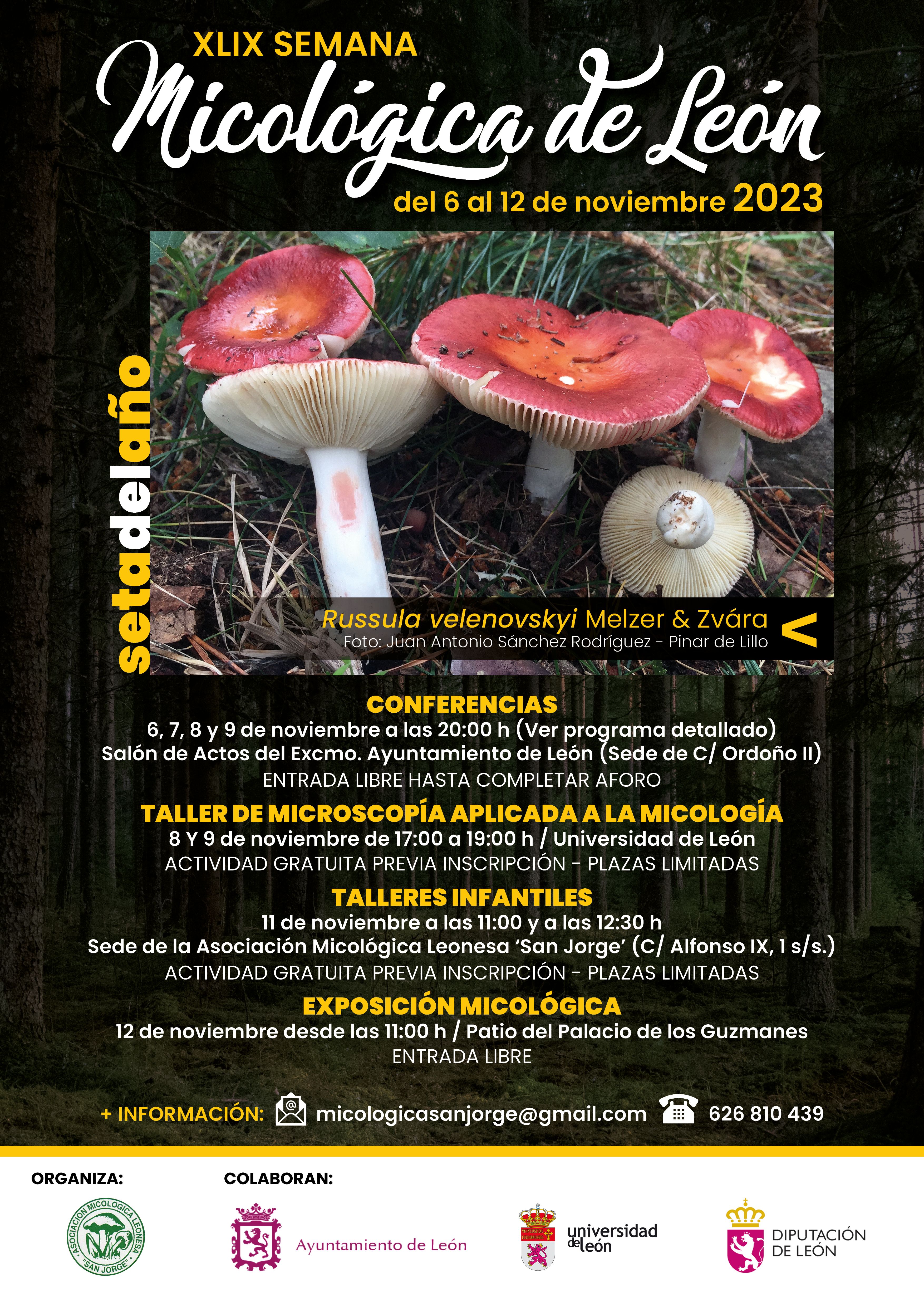 Cartel de la Semana Micológica de León, del 6 al 12 de noviembre. | L.N.C.