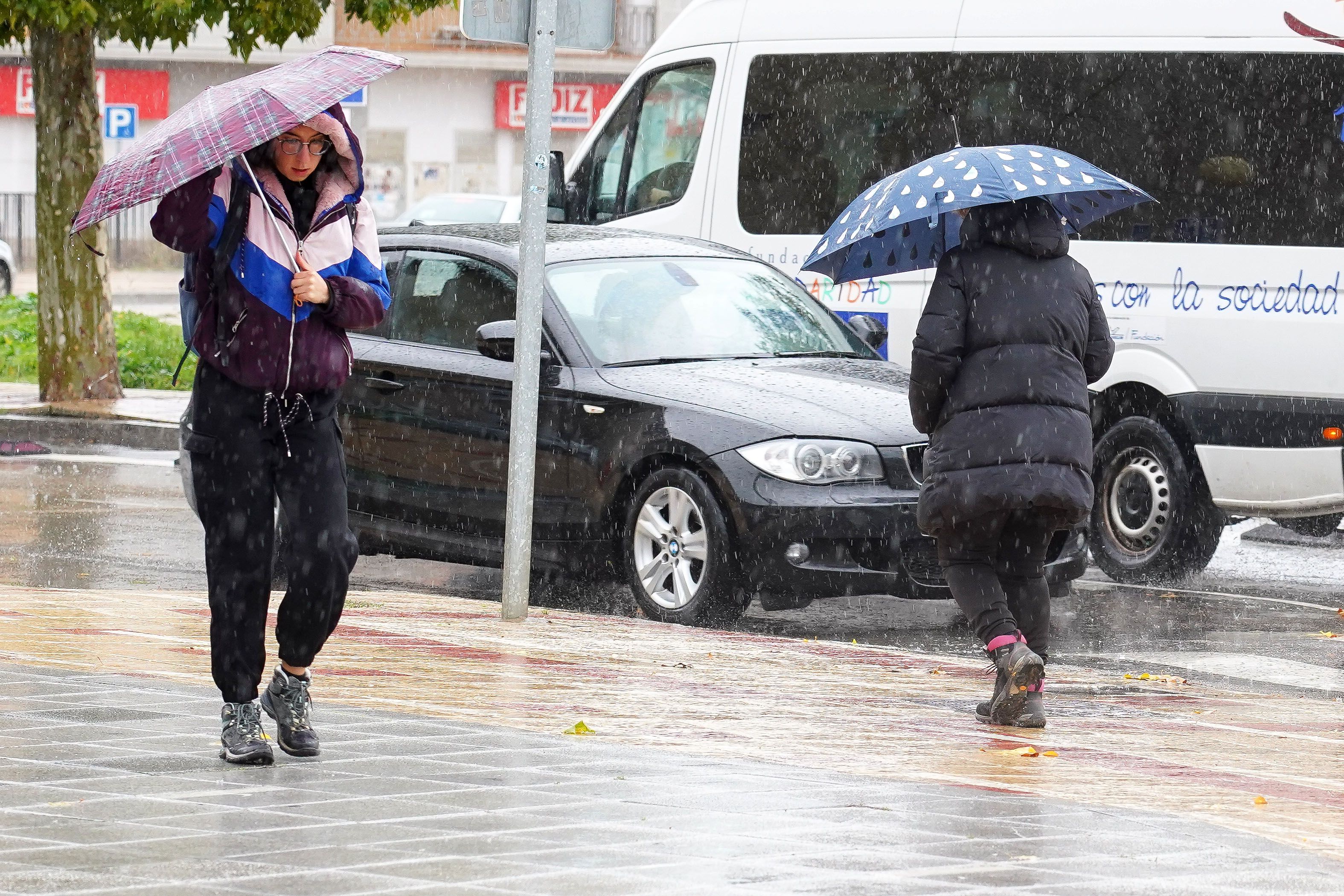 La lluvia y el viento hicieron estragos en León. | CAMPILLO (ICAL)