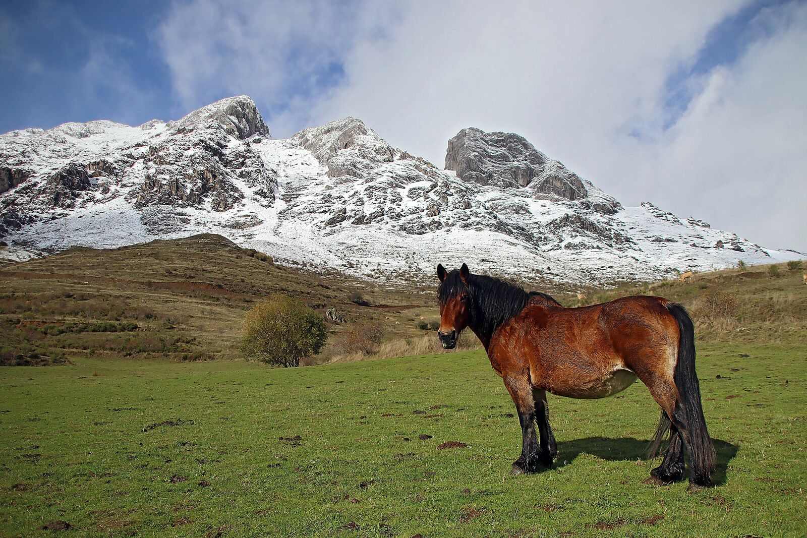 3º foto: La Montaña Leonesa vuelve al color blanco