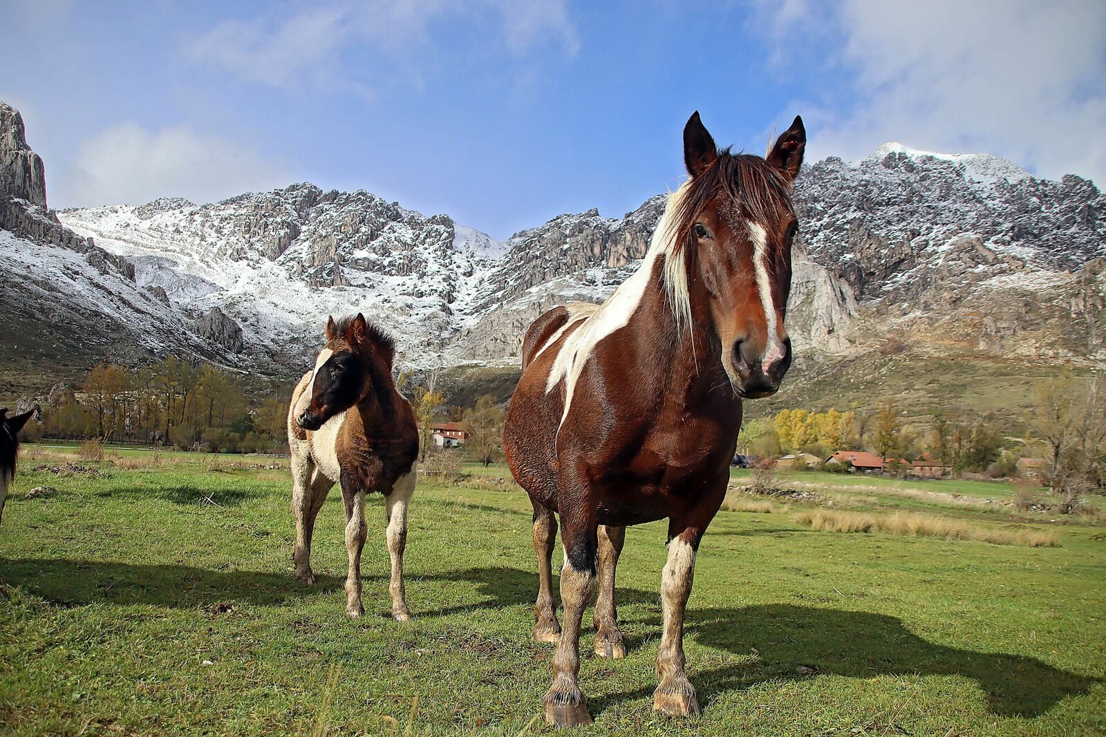 1º foto: La Montaña Leonesa vuelve al color blanco.