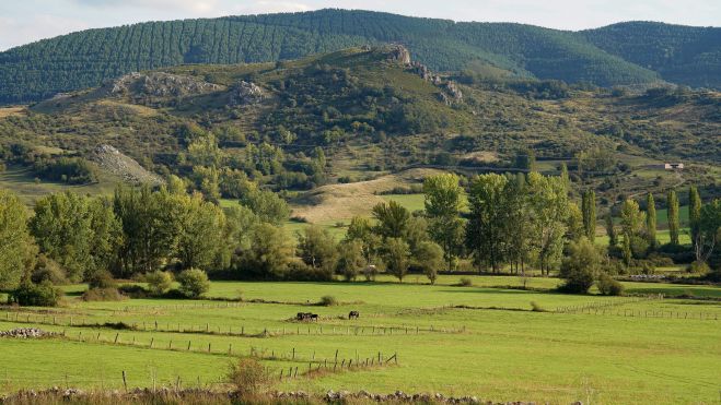 El paisaje en Reyero. | CAMPILLO (ICAL) El paisaje en Reyero. | CAMPILLO (ICAL)
