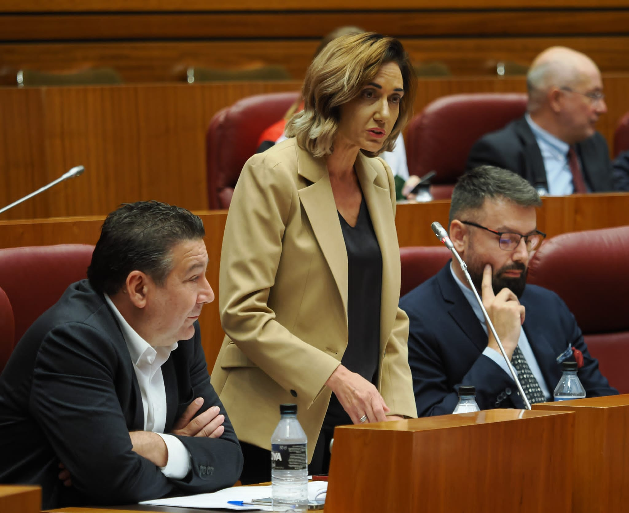 Luis Mariano Santos, Alicia Gallego y José Ramón García, procuradores de la UPL en las Cortes. | L.N.C.