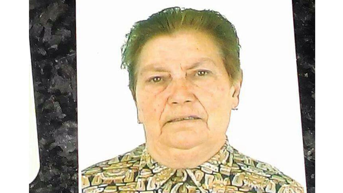 La familia ha pegado carteles con su foto por los alrededores de su vivienda, en la zona alta de Ponferrada. | D.M.