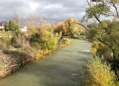 Estado del Río Torío en Puente Castro que ha experimento un crecimiento gracias a las lluvias. | R.P.N.