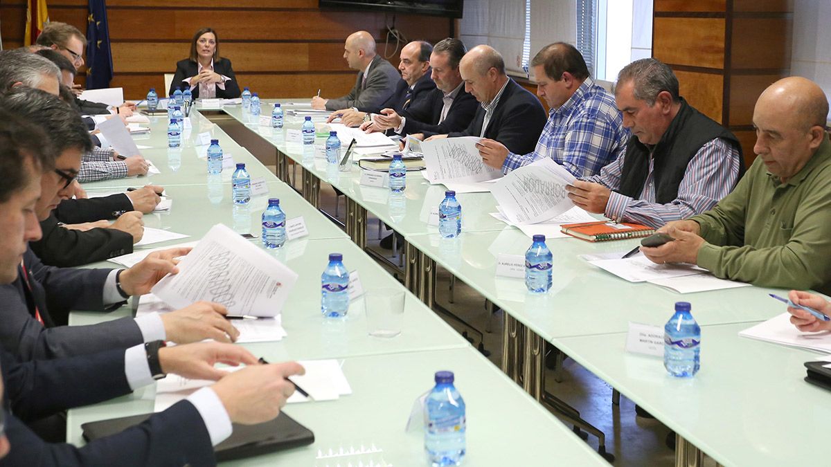 La consejera de Agricultura y Ganadería, Milagros Marcos, preside la Mesa Regional de la Leche de Vacuno. | ICAL