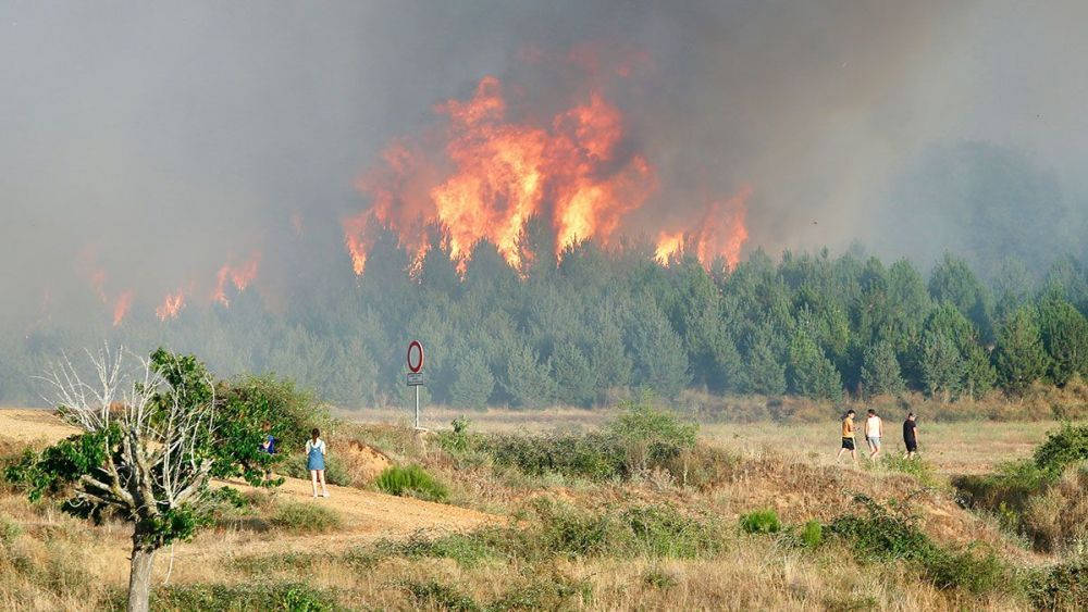 Imagen de archivo de un incendio forestal en Villapadierna (León). | L.N.C.