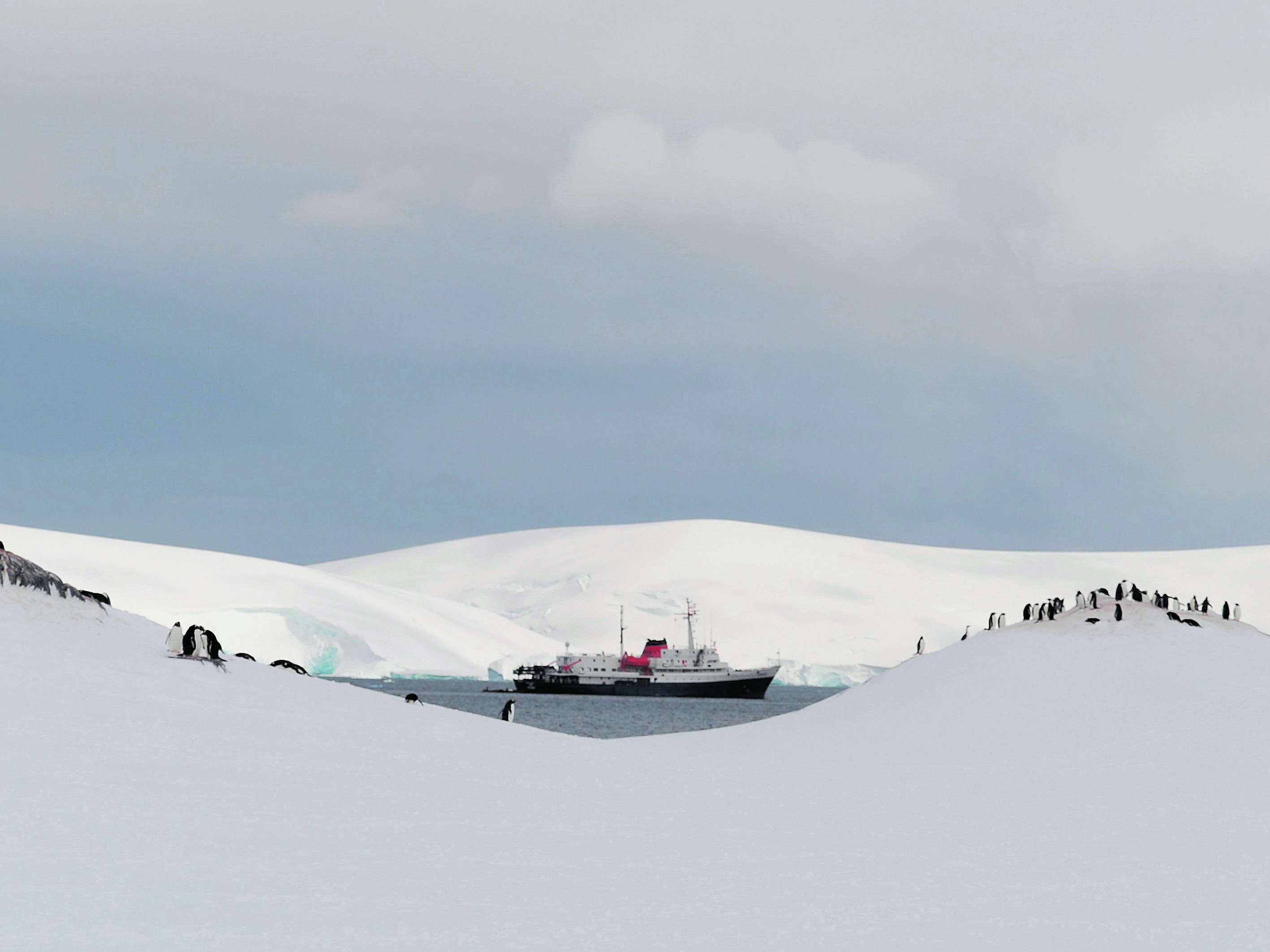 La Antártida, en barco y con pingüinos, vista por una de las expedicionarias de 'Homeward Bound'. | ZAIDA ORTEGA DIAGO