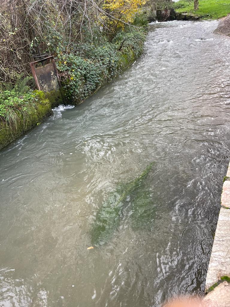 Sedimento que hizo que las aguas del río bajaran turbias a su paso por el municipio de Vega de Valcarce.