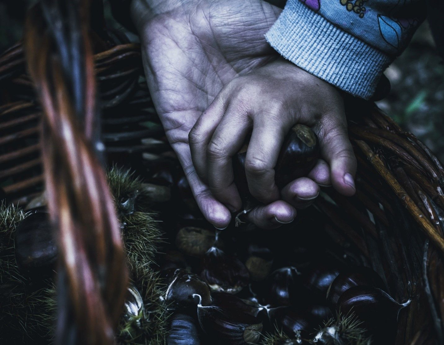 Primer premio del concurso de fotografía para Víctor Ruisánchez Ossorio (Ponferrada).