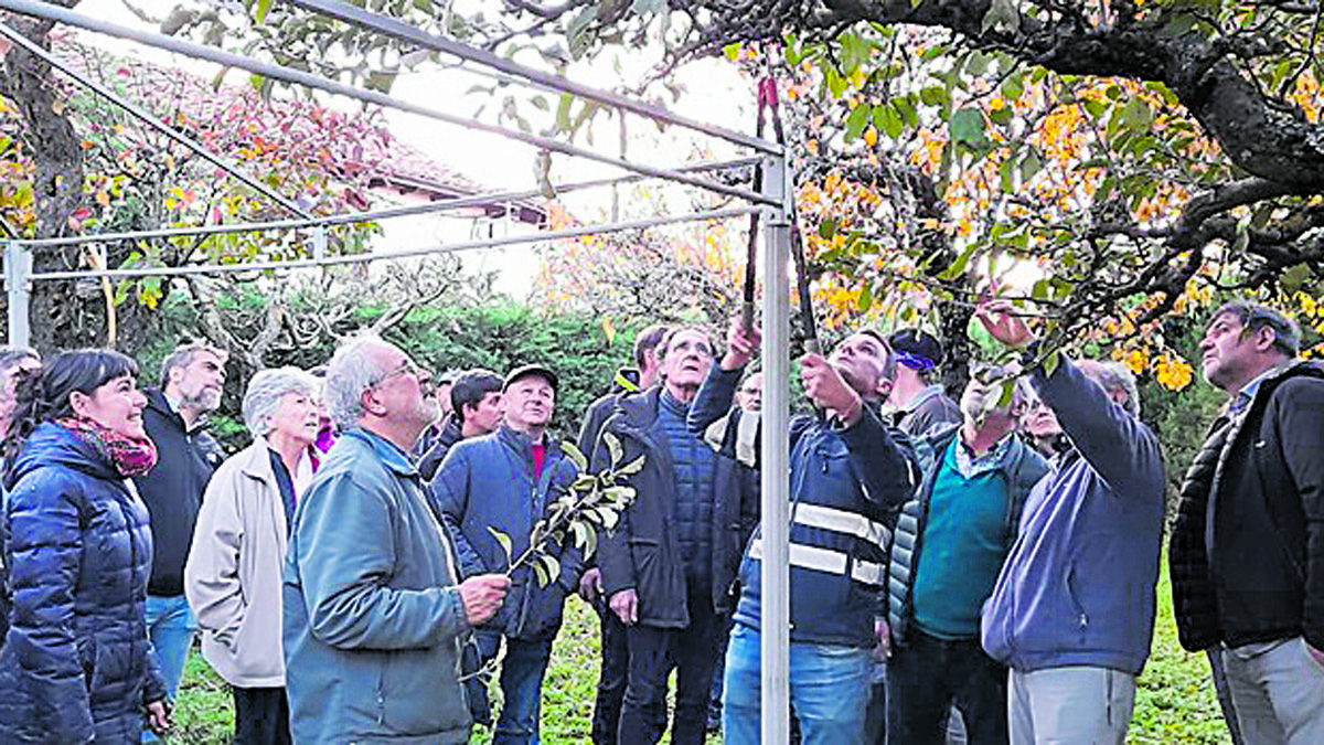 Prácticas del último curso de poda y frutales impartido por Naturgeis. | L.N.C.