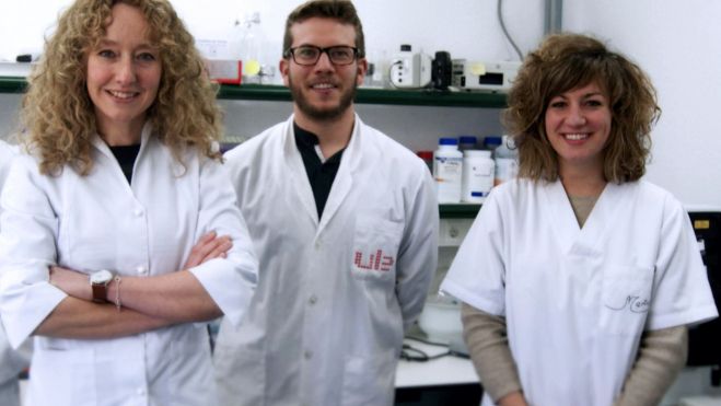 2023 11 20 Investigación Pez Cebra Estrés 01 2023 11 20 Investigación Pez Cebra Estrés 01