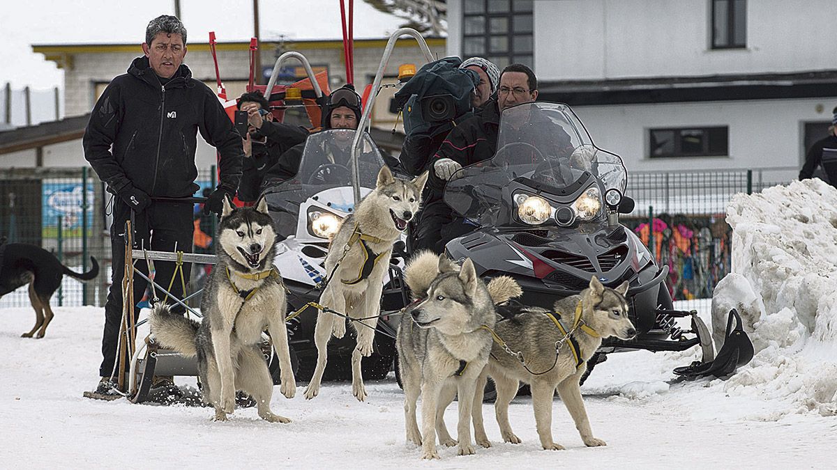 Roberto Marcos en el trineo, con los huskies preparados para iniciar el recorrido ante la evidente expectación, incluso de la TPA. | MAURICIO PEÑA Roberto Marcos en el trineo, con los huskies preparados para iniciar el recorrido ante la evidente expectación, incluso de la TPA. | MAURICIO PEÑA