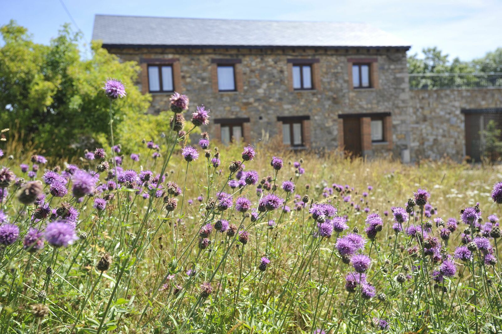 Casa rural de la provincia de León en una imagen de archivo. | DANIEL MARTÍN