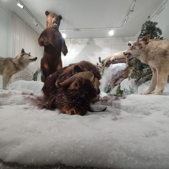 Imagen 1701796358120