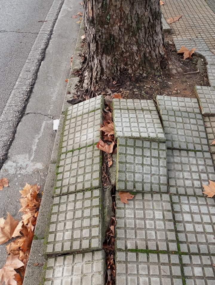 Estado de las aceras en la avenida del Castillo. | PRB