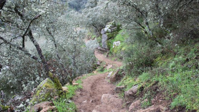 A pesar de la gran presión industrial a la que está sometida el cañón del río Sil, todavía conservan paisajes naturalizados. A pesar de la gran presión industrial a la que está sometida el cañón del río Sil, todavía conservan paisajes naturalizados.