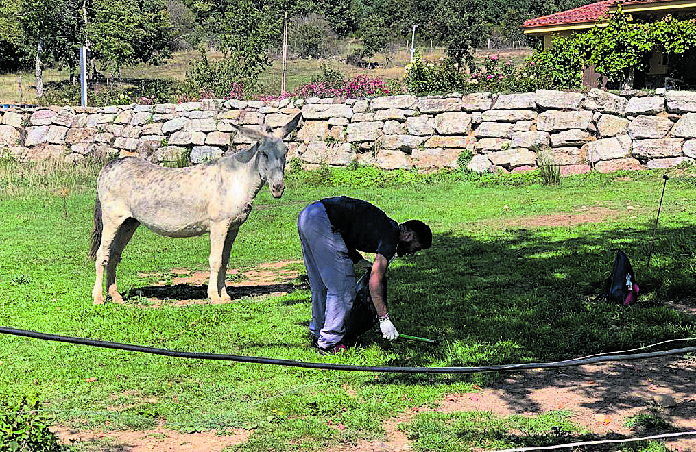 Imagen de archivo de un programa del Campus Rural en Riello. | L.N.C.