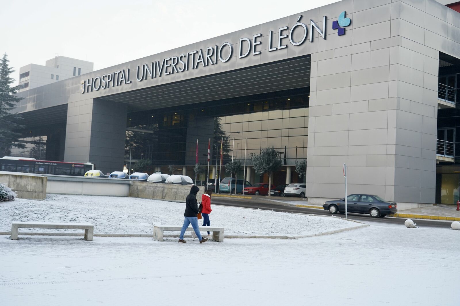 Cencellada en León. Cencellada en León.