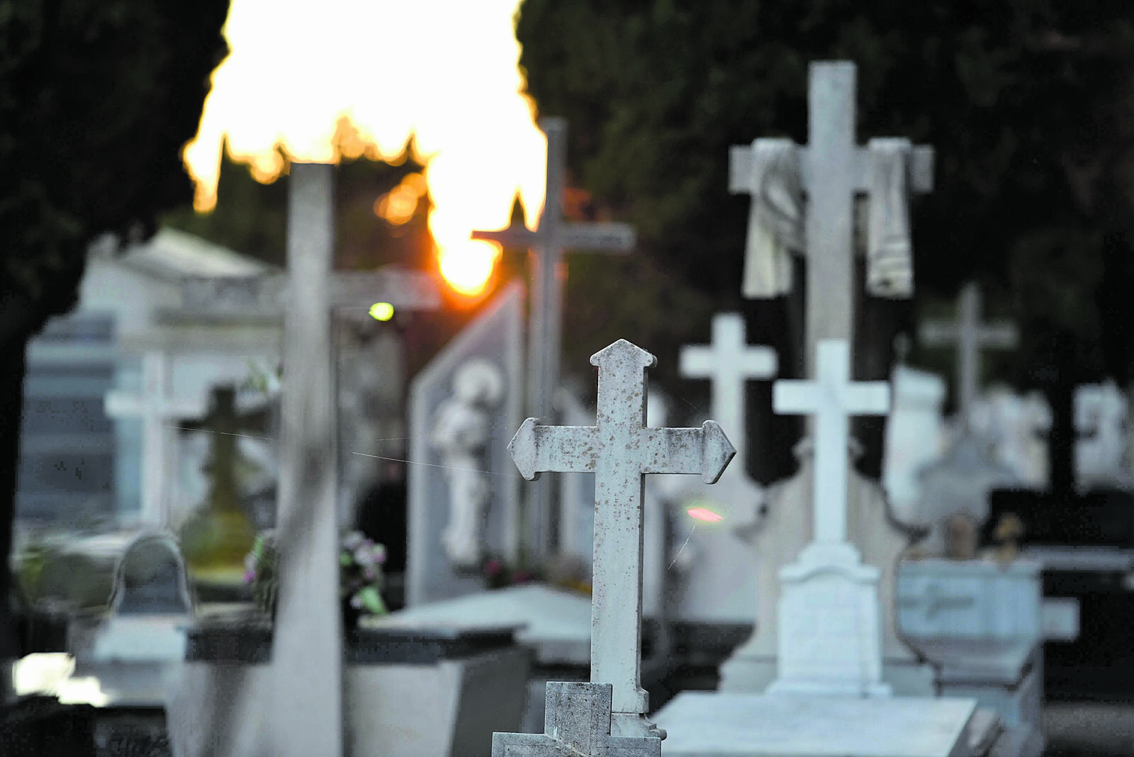 Panteones del cementerio de León en una imagen de archivo. | SAÚL ARÉN