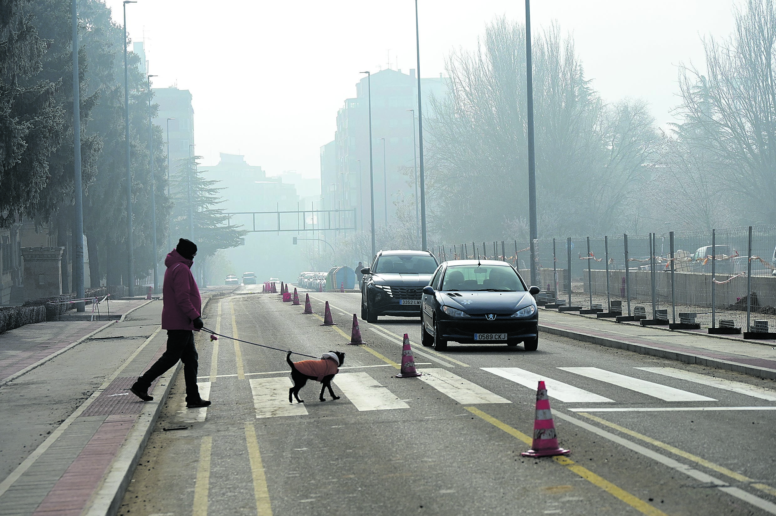 Imagen del estado este martes de las obras de construcción del carril–bici de la avenida de Asturias. | MAURICIO PEÑA