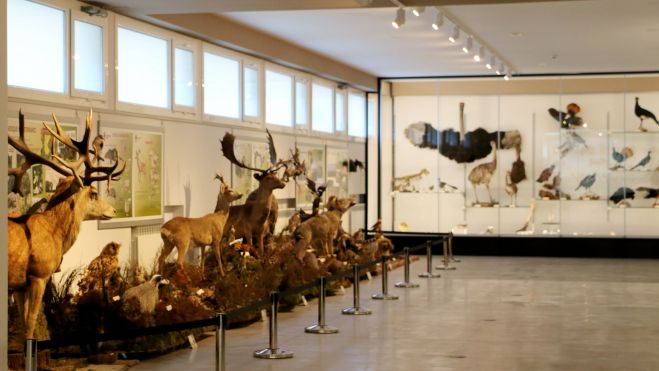 El Mule abrió sus puertas a la sociedad leonesa el pasado 25 de enero. | L.N.C.