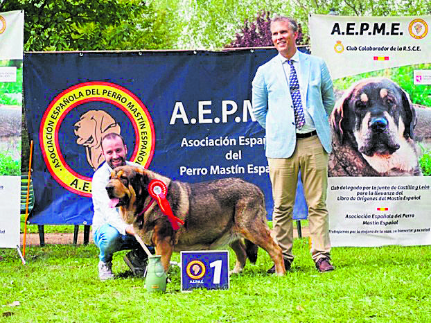 Uno de los ejemplares ganadores del campeonato nacional, de Casatrones. | AEPME