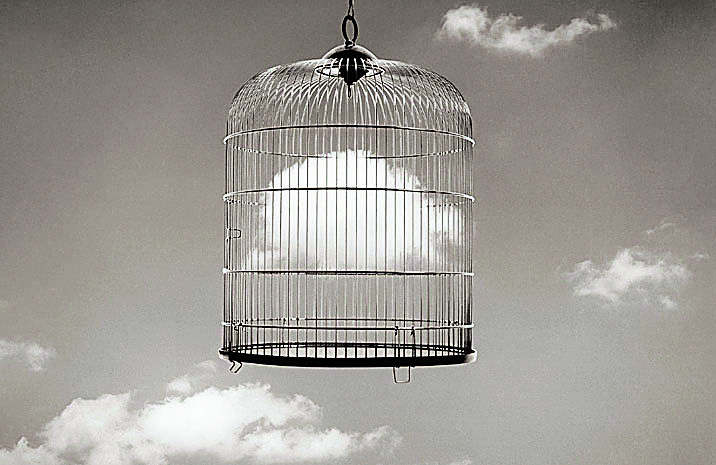 Obra de ‘La naturaleza de las cosas’ en El Palacín. | CHEMA MADOZ