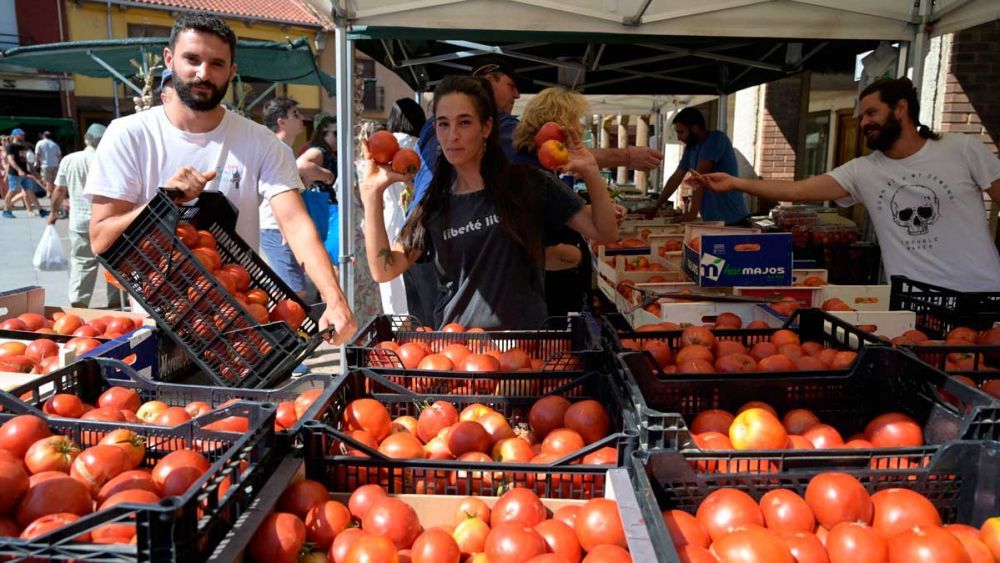 La Feria del Tomate de Mansilla de las Mulas es una de las imperdibles de la temporada. | L.N.C.
