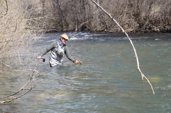 Pescando y liberando una trucha río Bernesga. | RPN