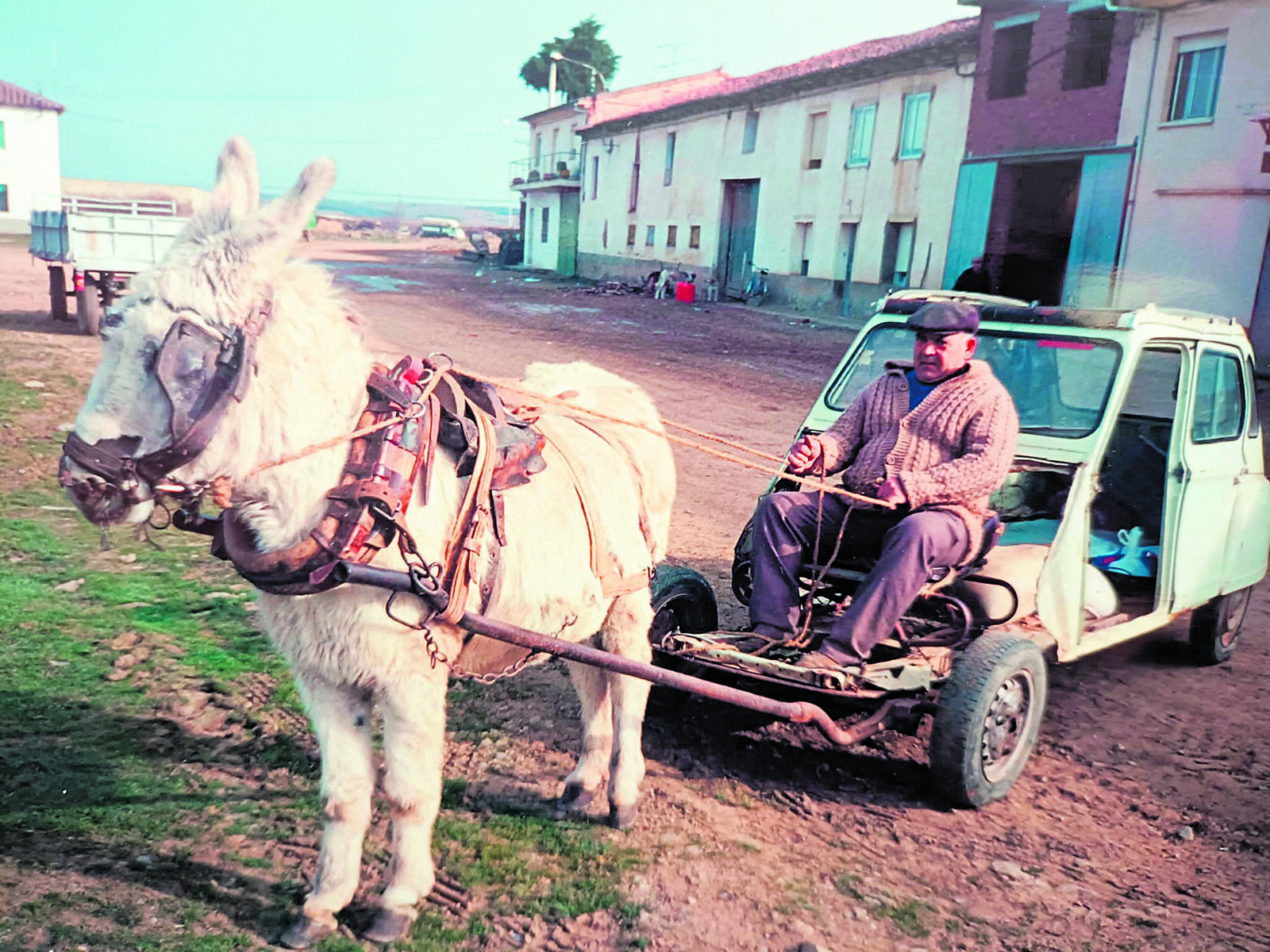 ‘El Tigre de Villahibiera’, con uno de los burros que tuvo como motor. | L.N.C.