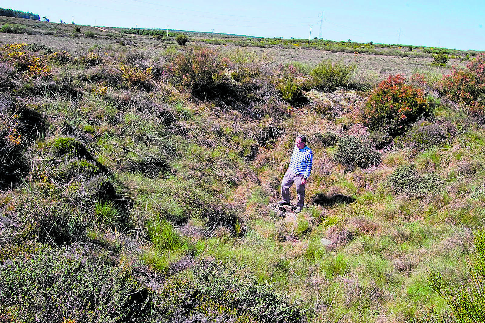 Los pozos de Colinas de Camposagrado vienen sufriendo un olvido que hace peligrar su futuro. | PRO MONUMENTA