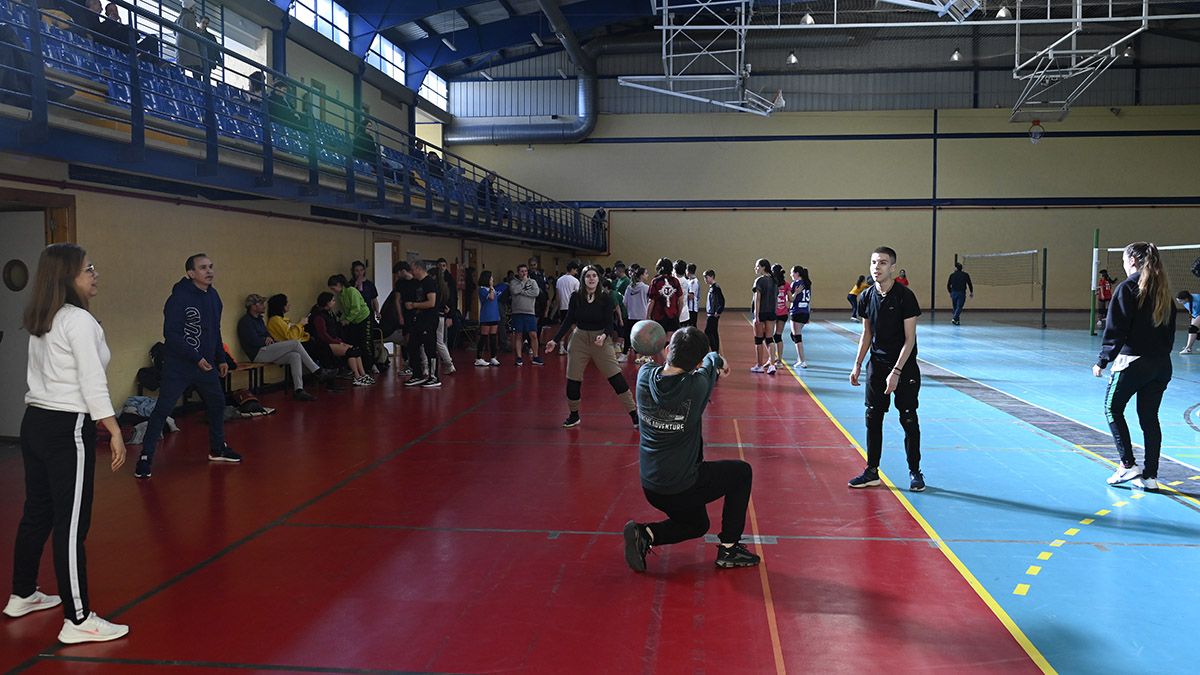 Imagen de la actividad de Escuelas Deportivas.