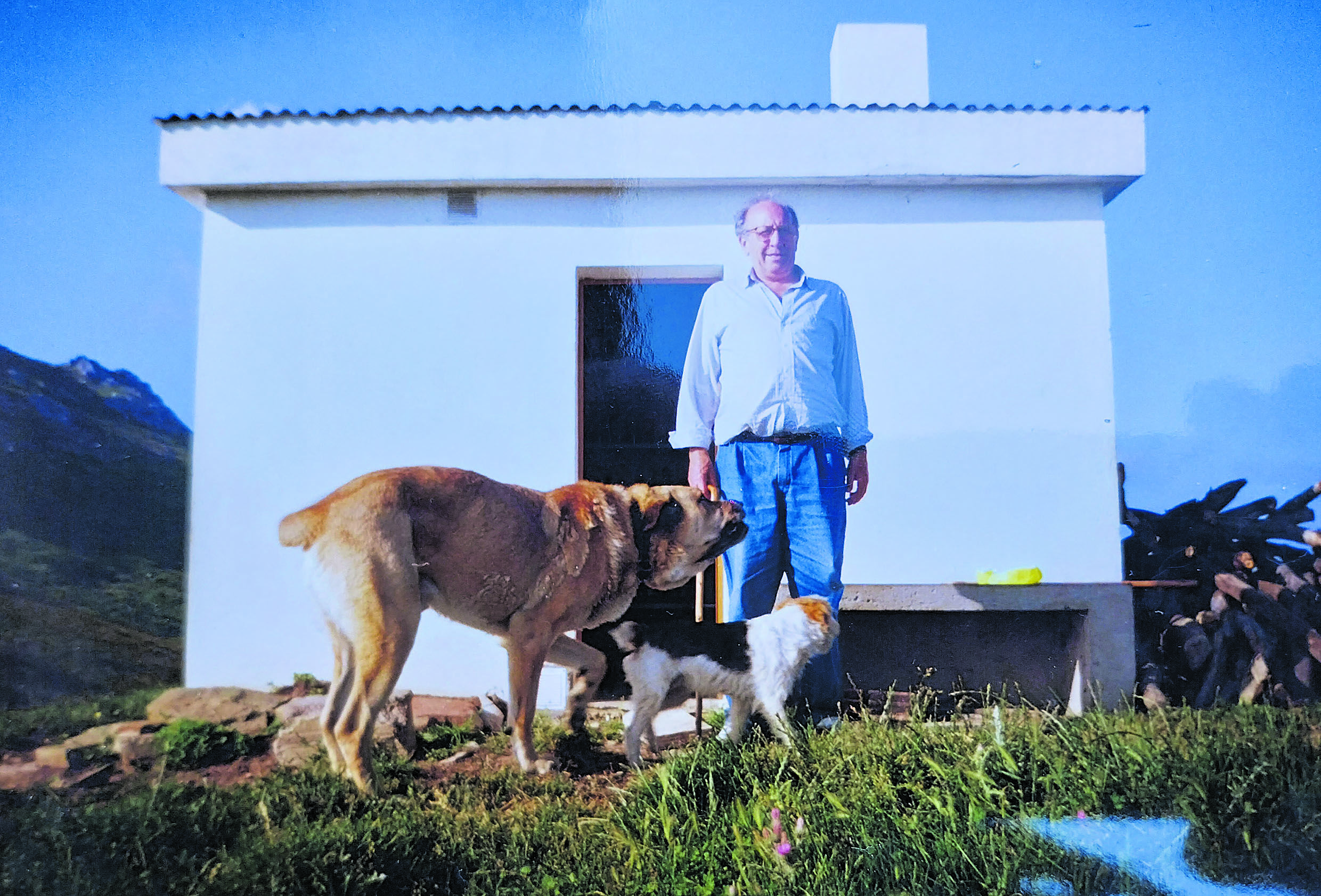 Isidro Martínez, ‘El curandero’ de Boñar, que descendía de la localidad de Viego, con los perros en el chozo de los pastores . | HAYDÉE MARTÍNEZ
