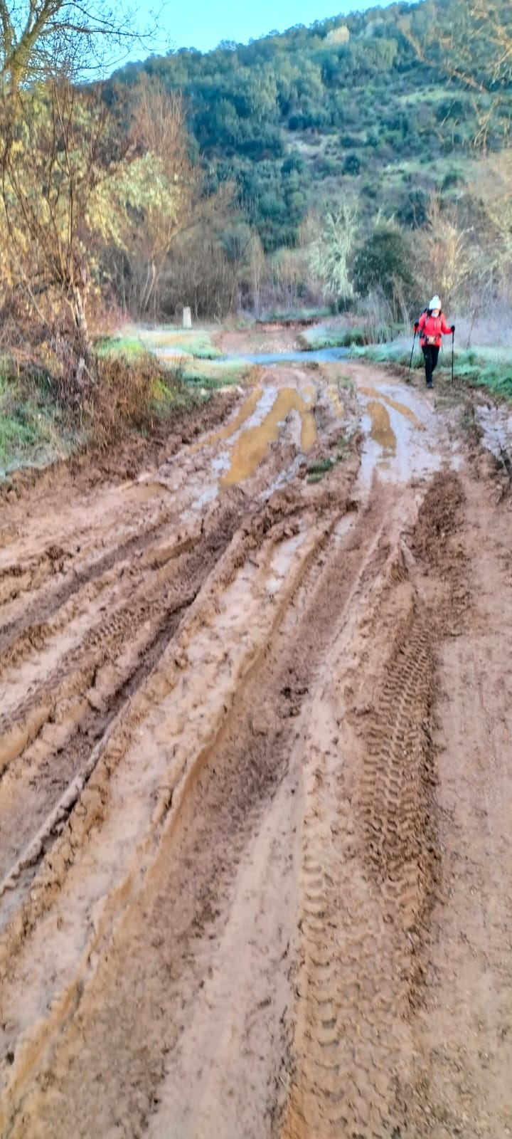 Estado del Camino de invierno en Borrenes.