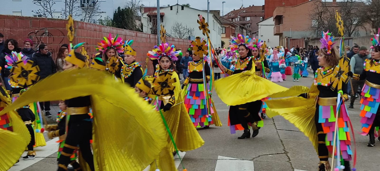 | Un instante del desfile de Carnaval 2024 de Valencia de Don Juan. | L.N.C.