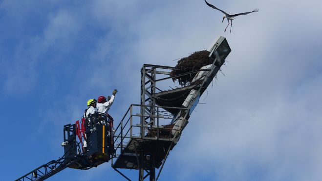 | CÉSAR SÁNCHEZ (ICAL) | CÉSAR SÁNCHEZ (ICAL)